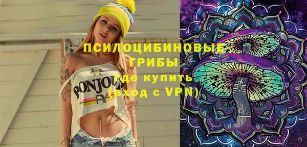 сатива Армянск